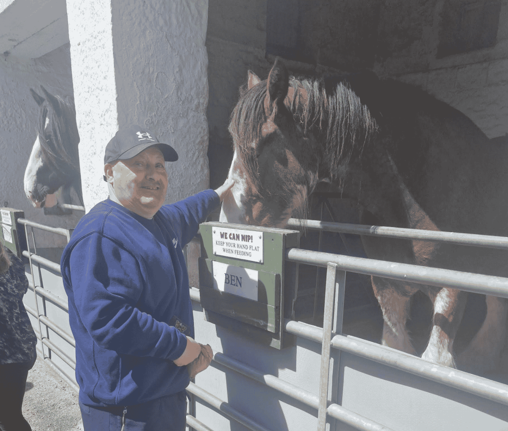 man patting horse at a stables