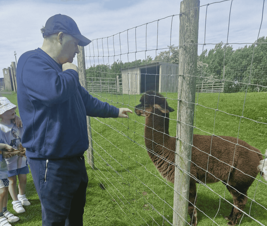 man feeding alpacha